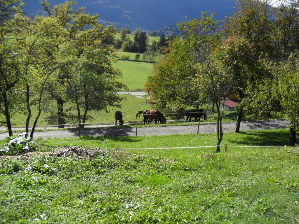 Ferienhaus Warmuth Sankt Stefan an der Gail Kültér fotó