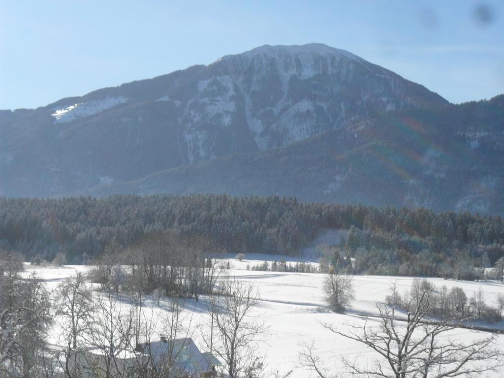 Ferienhaus Warmuth Sankt Stefan an der Gail Kültér fotó